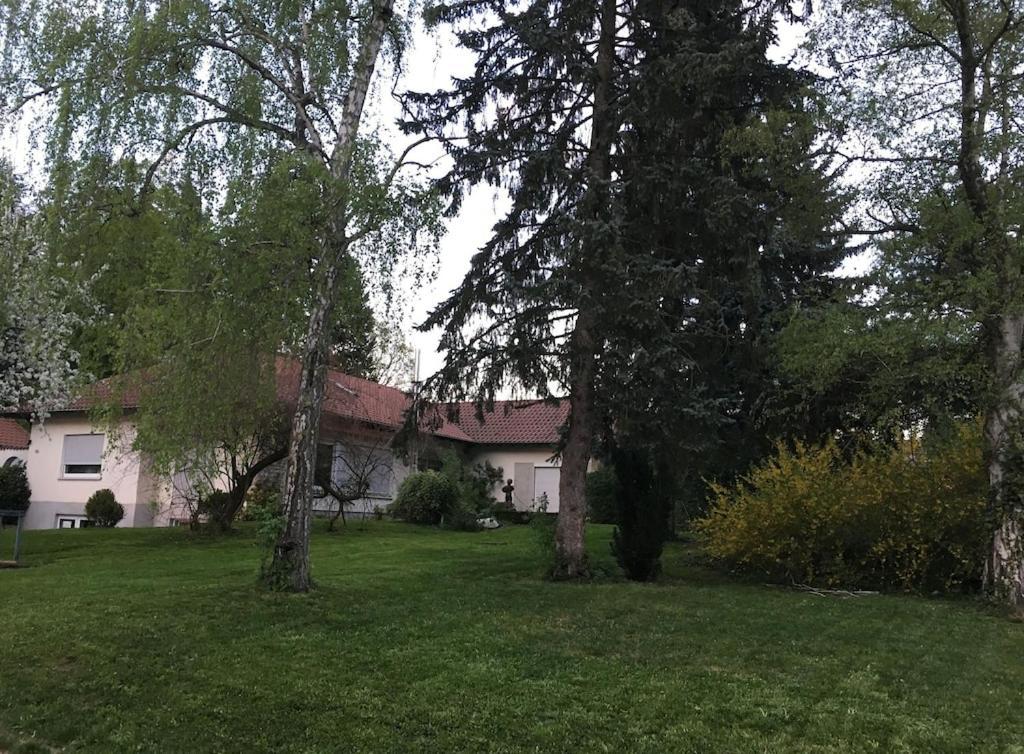 Schoene Ferienwohnung 2,5 Zimmer In Stadtnaehe Mit Eigenem Hofgarten Balingen Extérieur photo