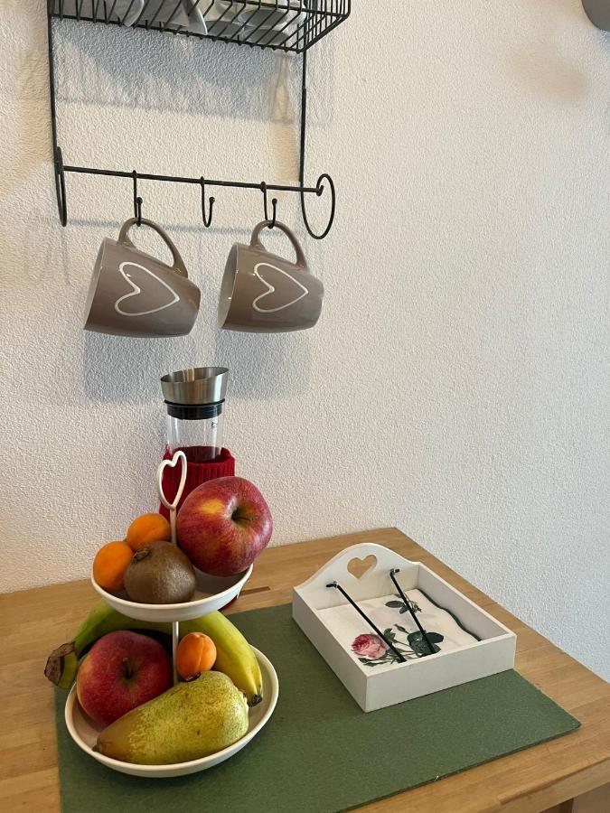 Schoene Ferienwohnung 2,5 Zimmer In Stadtnaehe Mit Eigenem Hofgarten Balingen Extérieur photo